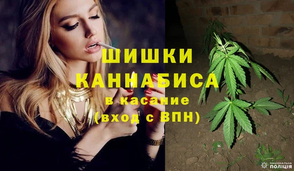 дурь Медвежьегорск