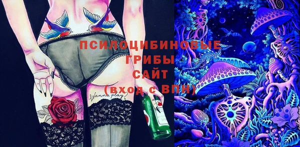 2c-b Медногорск