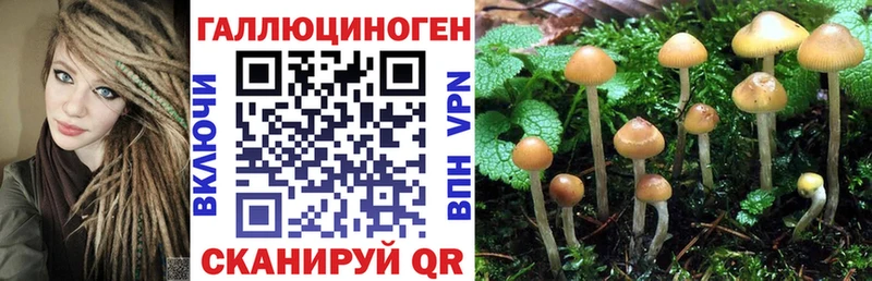 Галлюциногенные грибы мицелий  Купить  Анадырь 